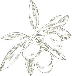 Sponsor an olive tree
